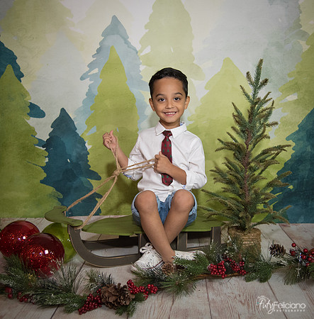 16navidad-120