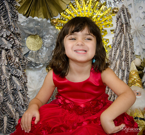 Navidad2014-121687