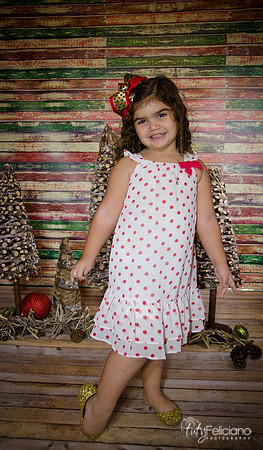 Navidad 2014-1164