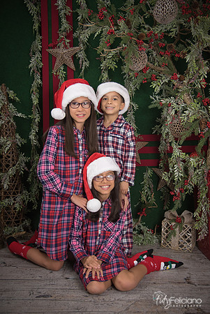 2017-Navidad-201