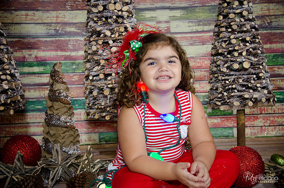 Navidad 2014-1617