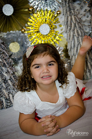 Navidad 2014-1428