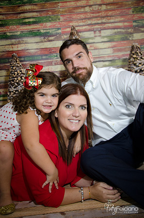 navidad 2014-2112