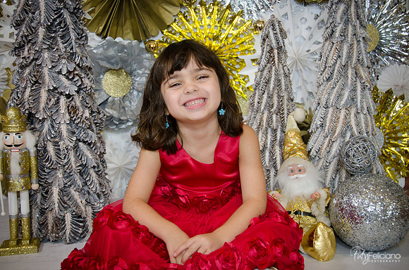 Navidad2014-121702