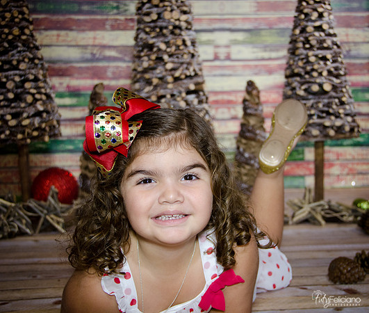 Navidad 2014-1104