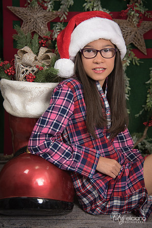 2017-Navidad-239
