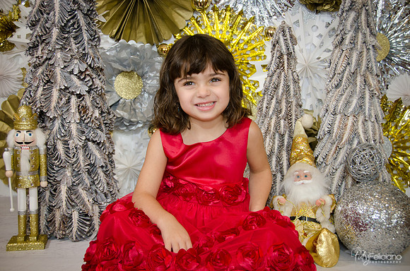 Navidad2014-121660