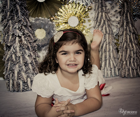 Navidad 2014-1423