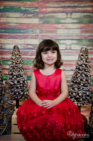Navidad2014-121553