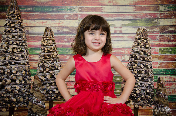 Navidad2014-121610