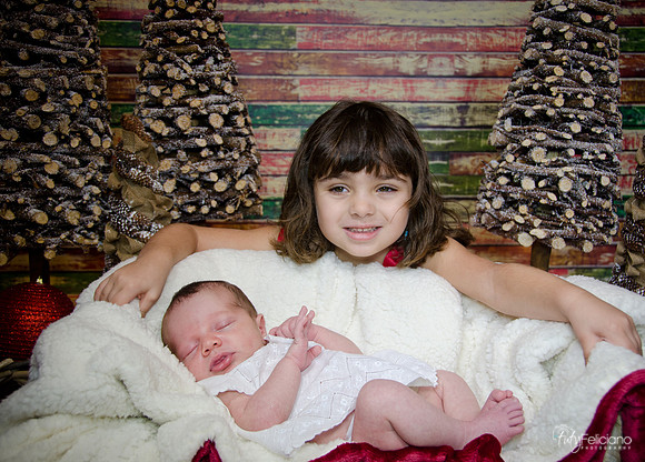 Navidad2014-121795
