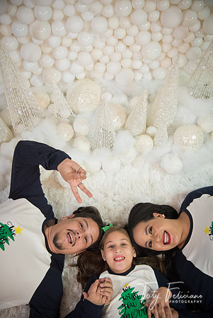 2018-fam-273