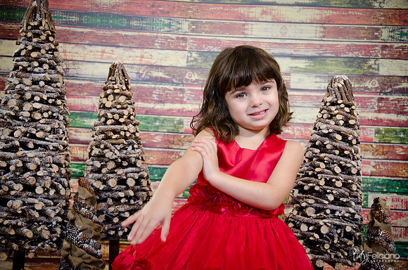 Navidad2014-121601
