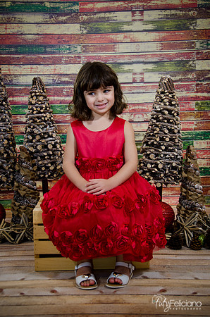 Navidad2014-121550