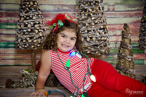Navidad 2014-1604