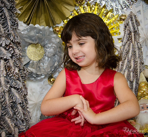 Navidad2014-121690