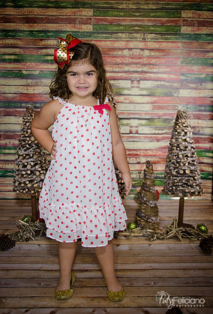 Navidad 2014-1148