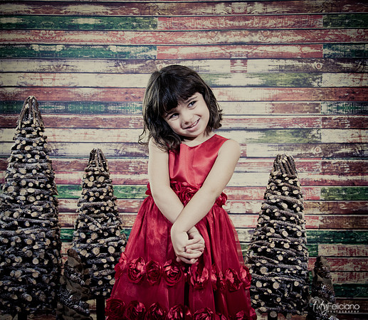 Navidad2014-121534