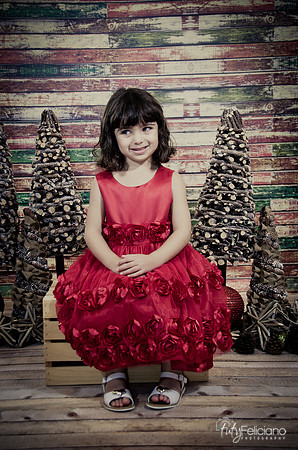Navidad2014-121551