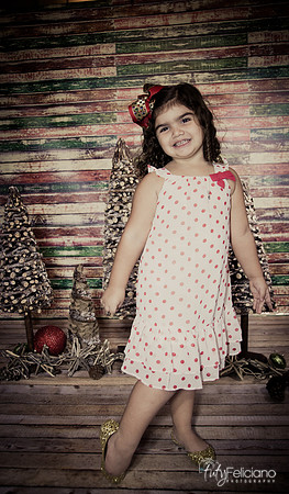 Navidad 2014-1161