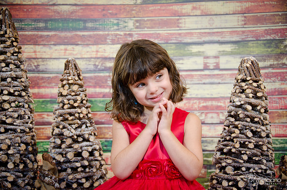 Navidad2014-121594