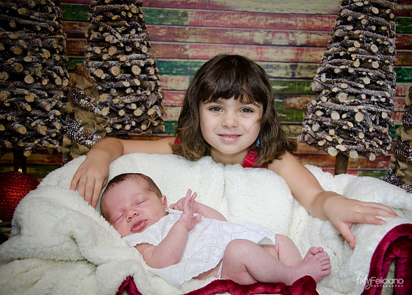 Navidad2014-121792