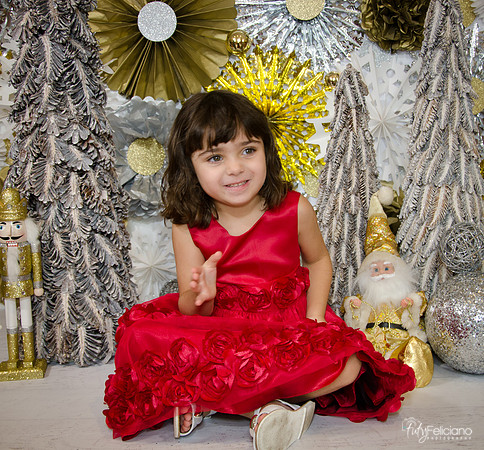 Navidad2014-121677