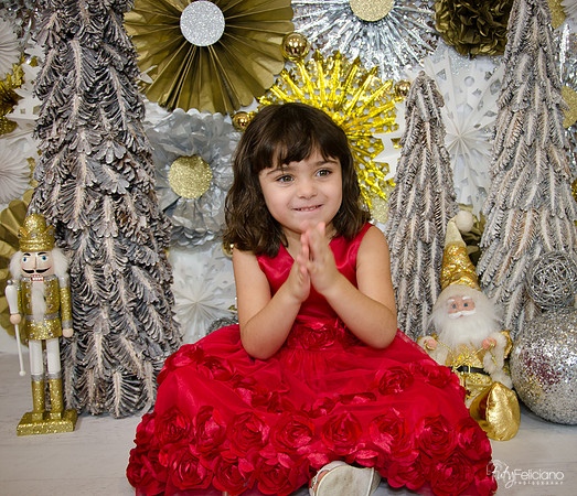 Navidad2014-121676