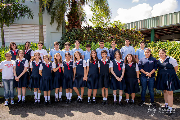 6A Adianez 3-2115