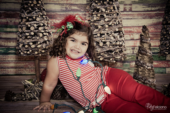 Navidad 2014-1607