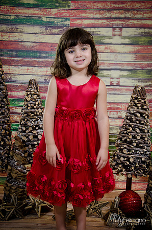 Navidad2014-121545