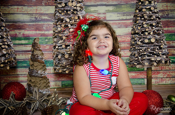 Navidad 2014-1616