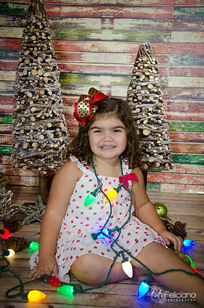 Navidad 2014-1056