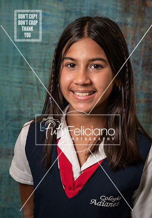 Adianez 3-1676