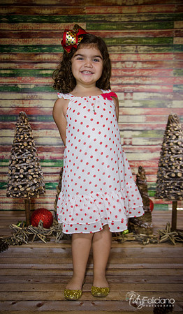 Navidad 2014-1138