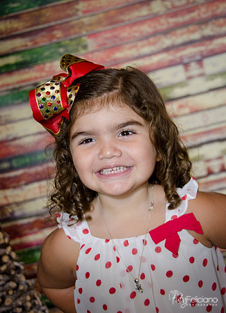 Navidad 2014-1211