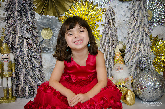 Navidad2014-121703