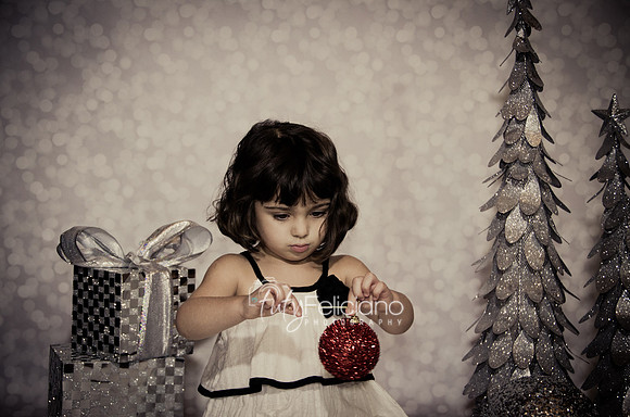 Shooting navideno-4344
