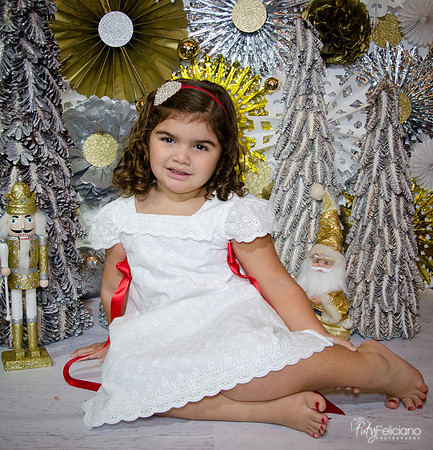 Navidad 2014-1320