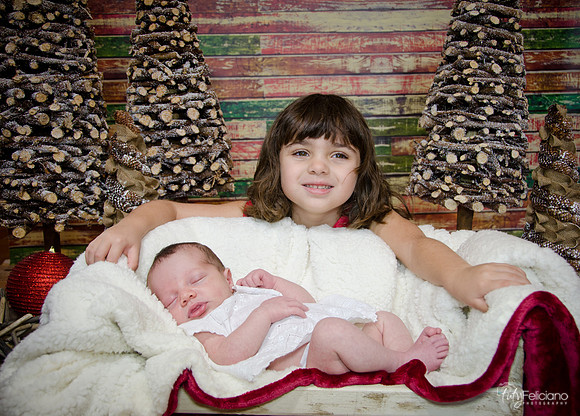 Navidad2014-121802