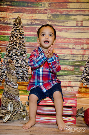 Navidad 2014-16787