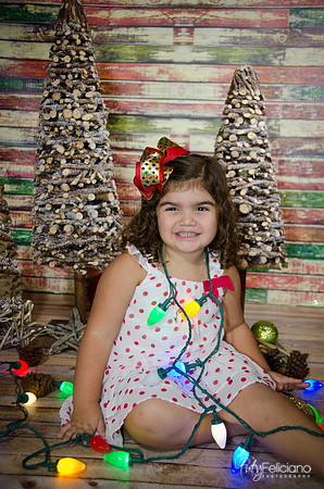 Navidad 2014-1058