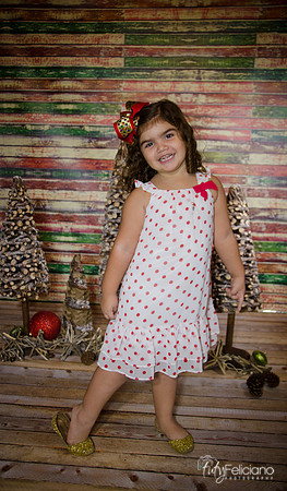Navidad 2014-1159