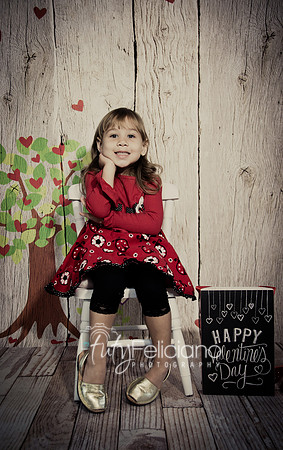 2014 Valentine-90