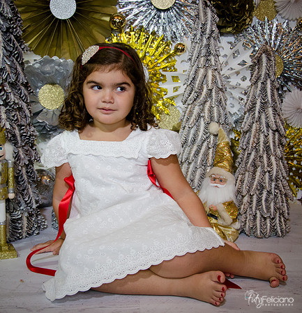 Navidad 2014-1322