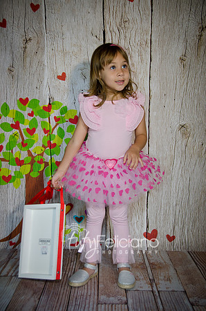 2014 Valentine-1138
