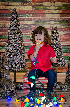 navidad 2014-11561