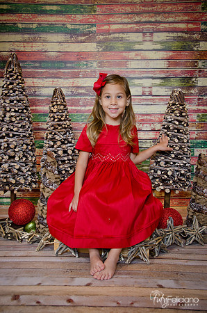 Navidades-13448