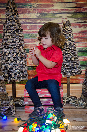 navidad 2014-11609