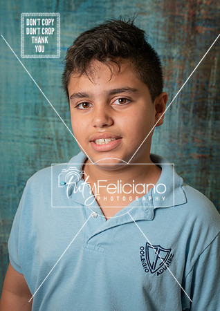 Adianez 3-1530